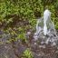 Hybrid Pools