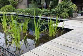 Plantarbor