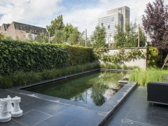 Vijverbouwer Wiltae
