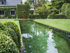 De Zwemvijver