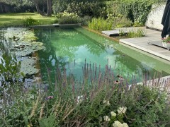 Hoveniersgebroeders Olijfgroene zwemvijver die de tuin weerspiegelt