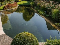 Vijverbouwer Wiltae