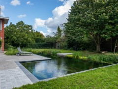 Ponds and Pools