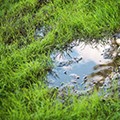  Reken af met elk teveel aan regenwater!
